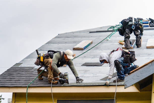 Professional Storm Damage Roof Repair technician working in Lyme Center, NH